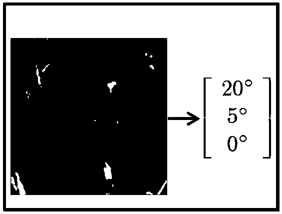 Hybrid deep regression network-based head pose estimation method