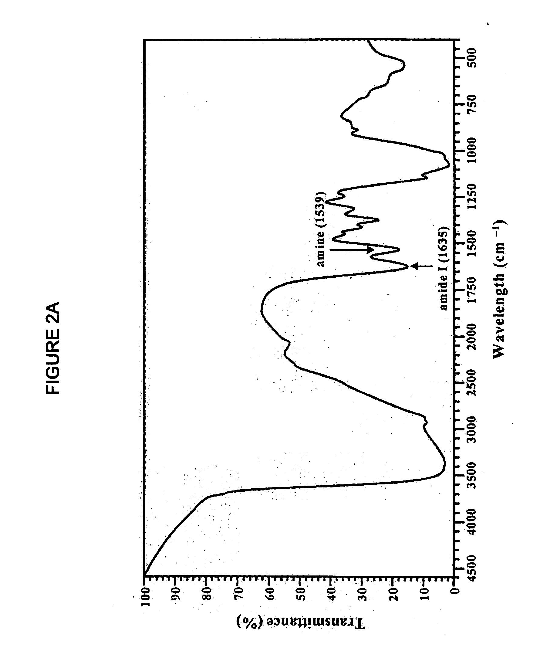 Water soluble chitosan nanoparticle for delivering an anticancer agent and preparing method thereof