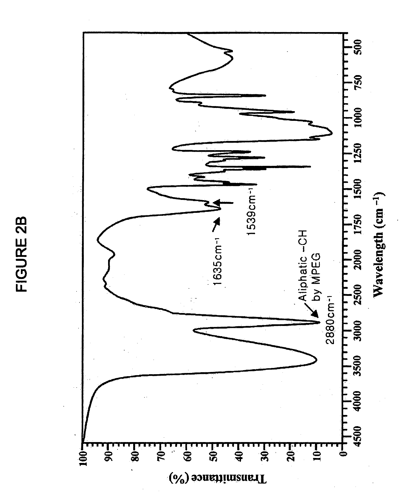 Water soluble chitosan nanoparticle for delivering an anticancer agent and preparing method thereof