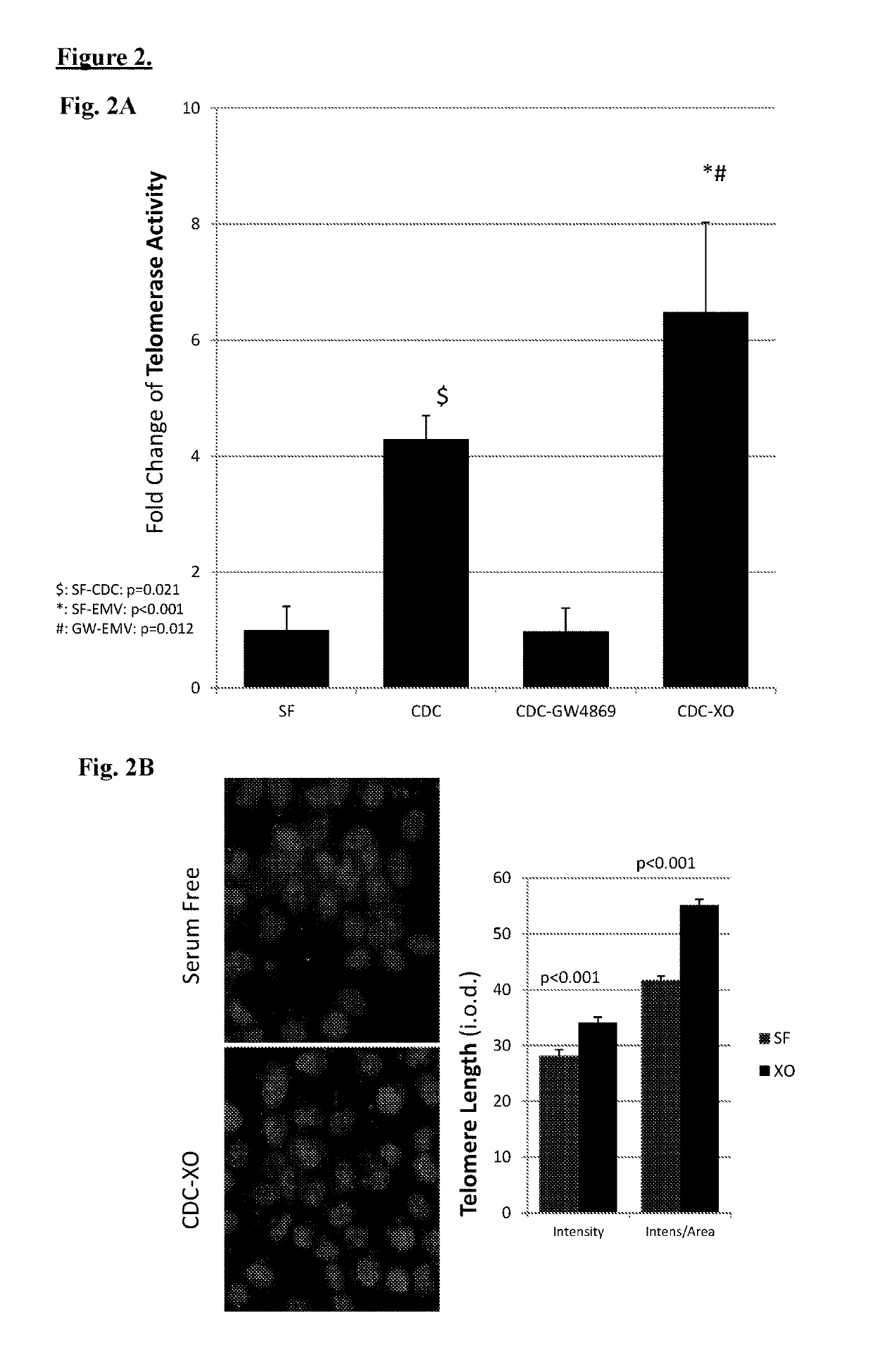 Cardiosphere-derived cells and their extracellular vesicles to retard or reverse aging and age-related disorders