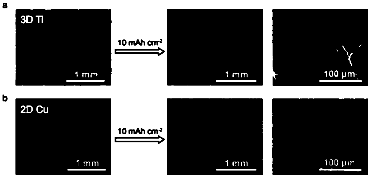 Corrosion-resistant metal lithium negative current collector and preparation method and application thereof