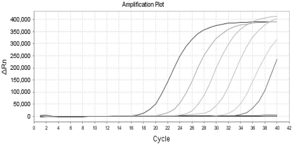 Preparation, application and kit of coliphage M13 internal standard quality-control product