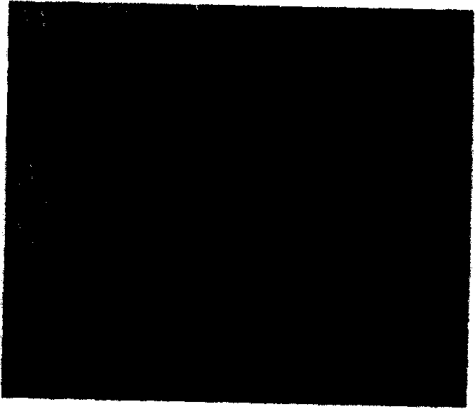 Preparation method of molecular sieve of silicon dioxide of media pores