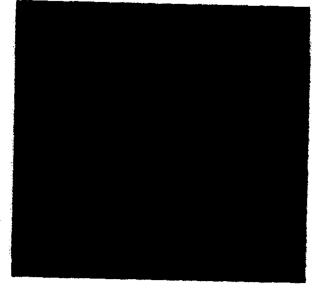 Preparation method of molecular sieve of silicon dioxide of media pores