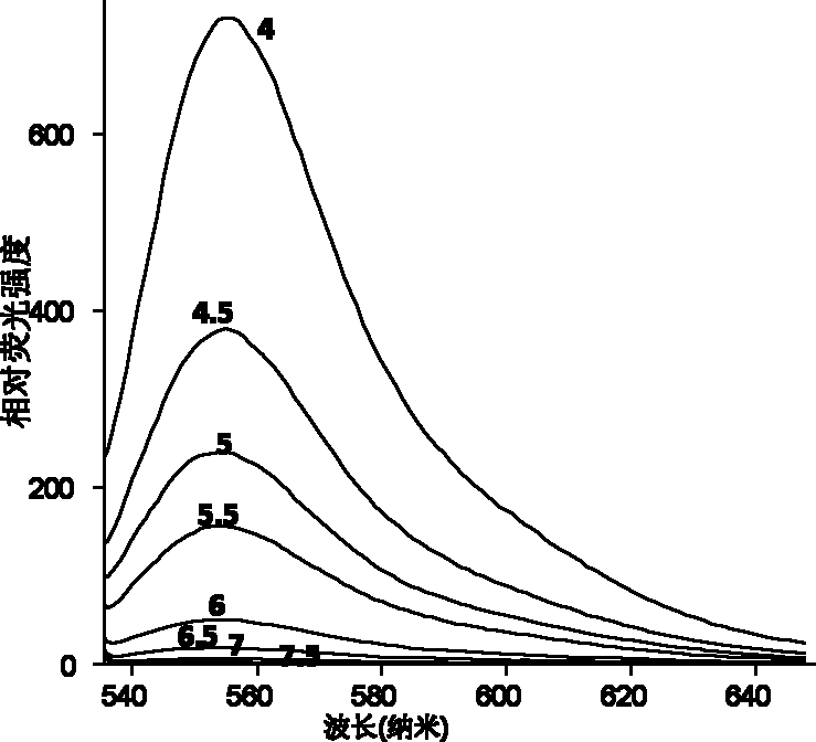 Application of rhodamine 6G ramifications