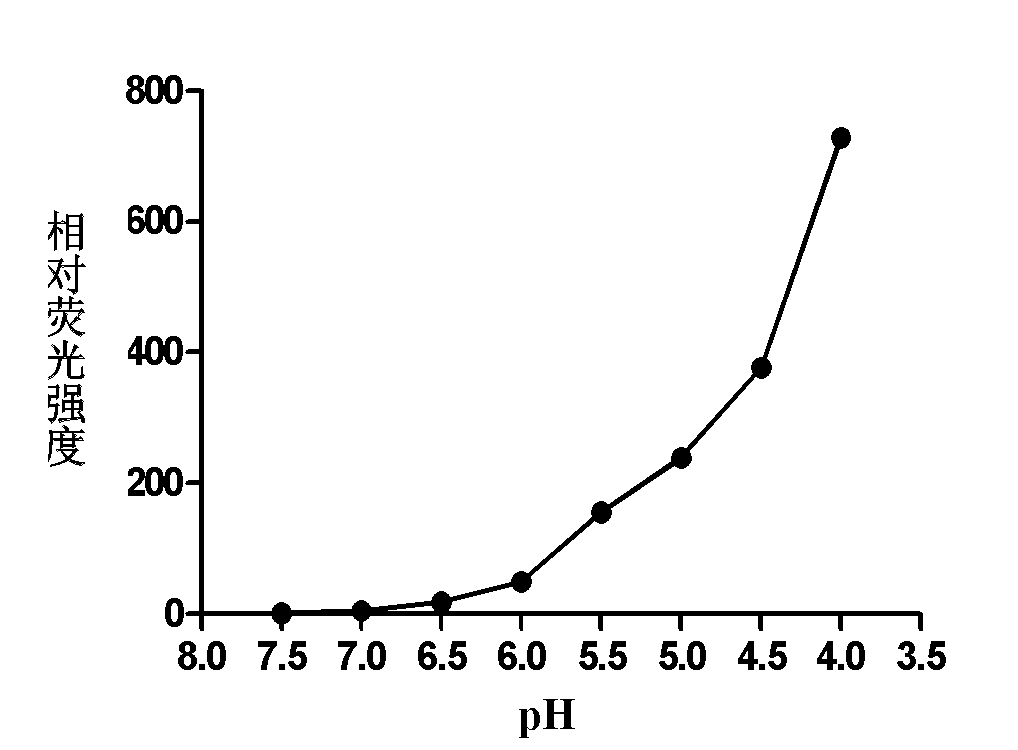 Application of rhodamine 6G ramifications