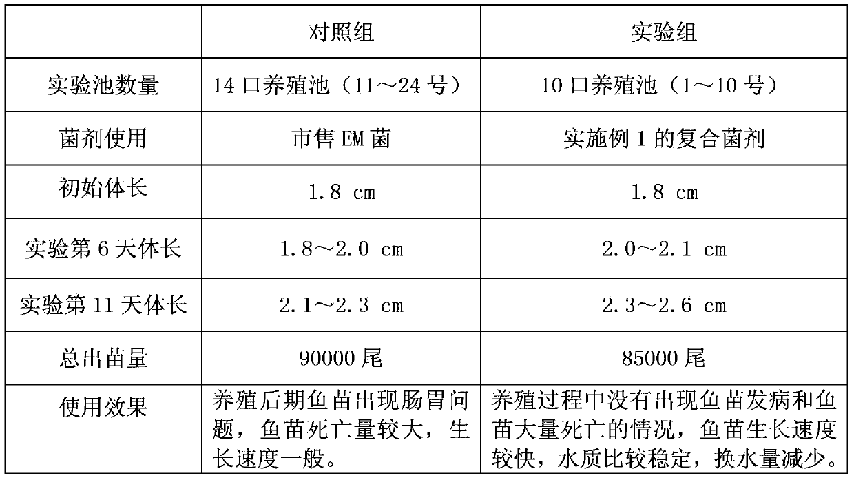 Microecological preparation, preparation method, and applications thereof