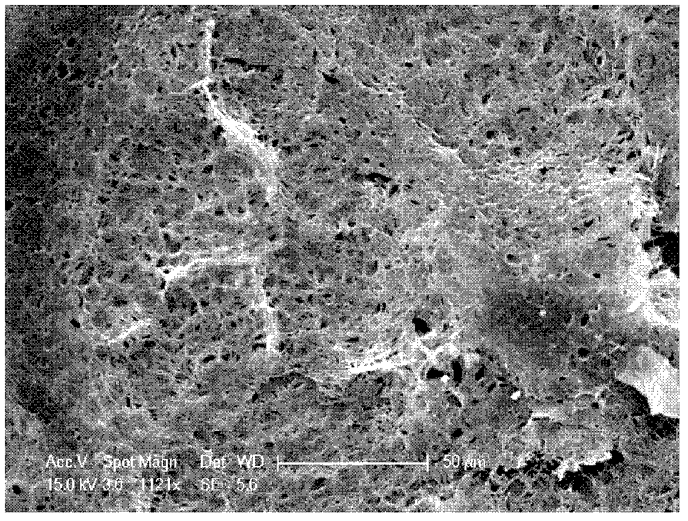 Silicon alloy and graphene composite material and preparation method thereof