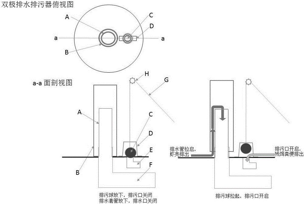 Method for culturing penaeus vannamei in cement pool by means of microecological preparations