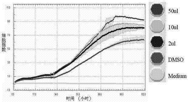 Nano-silver anti-cancer composition for treating lung cancer as well as preparation method and application thereof