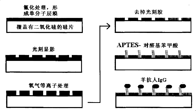 Method for inhibiting non-specific adsorption of solid material surface