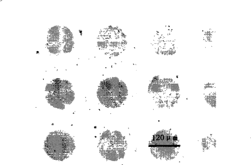 Method for inhibiting non-specific adsorption of solid material surface