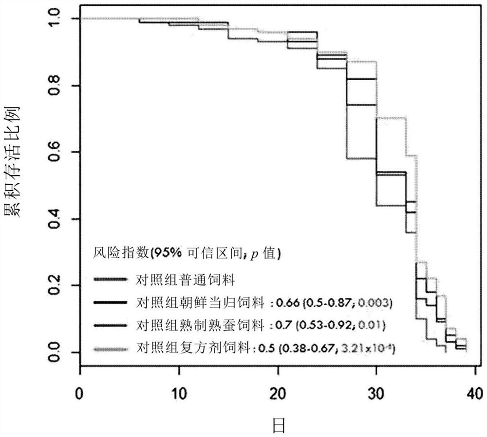 Composition for improving memory, or composition for preventing and treating alzheimer's disease, comprising angelica root extract and silkworm product having silk protein