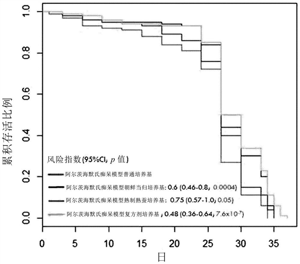 Composition for improving memory, or composition for preventing and treating alzheimer's disease, comprising angelica root extract and silkworm product having silk protein