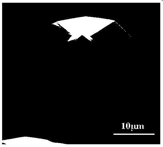 Multi-wavelength InGaN/GaN multi-quantum well structure based on GaN dodecahedral cone and preparation method thereof