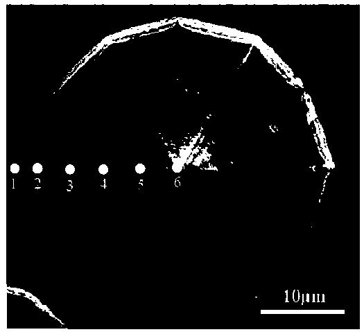 Multi-wavelength InGaN/GaN multi-quantum well structure based on GaN dodecahedral cone and preparation method thereof