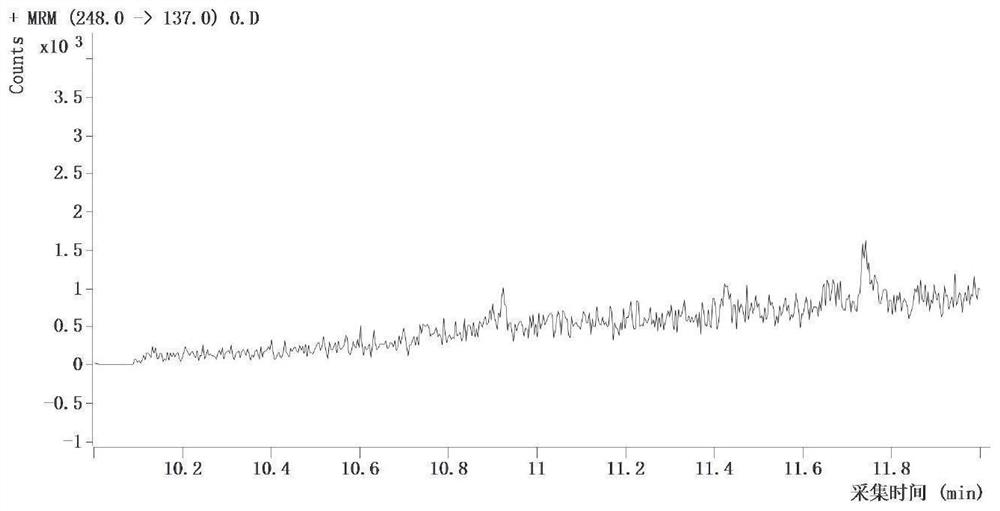 Method for detecting total matrine residual quantity in honey