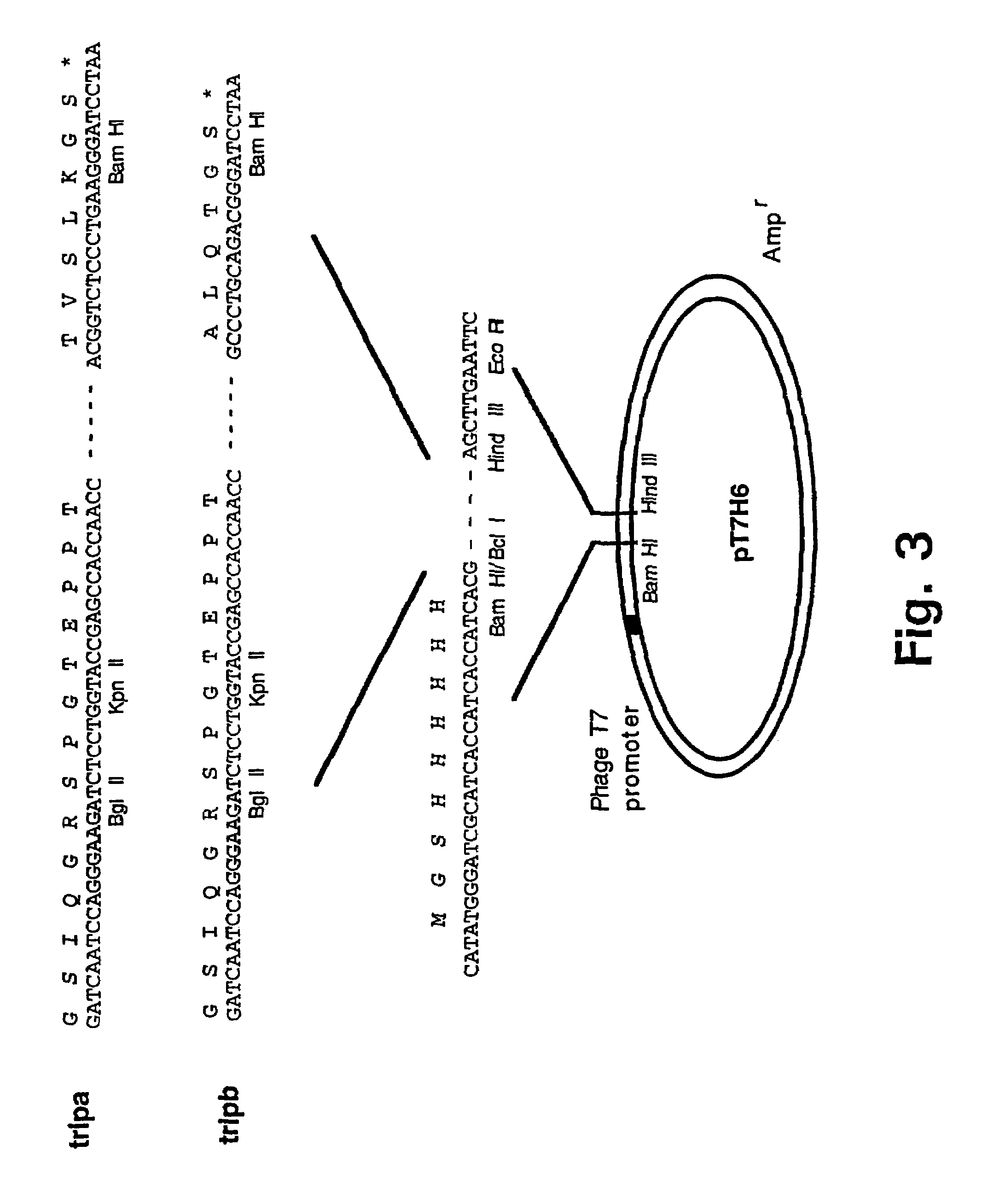 Trimerising module