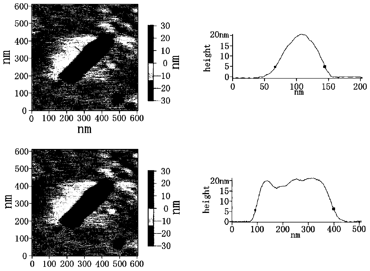 Strong oncolytic rod-shaped nano-assembly, preparation method and application thereof