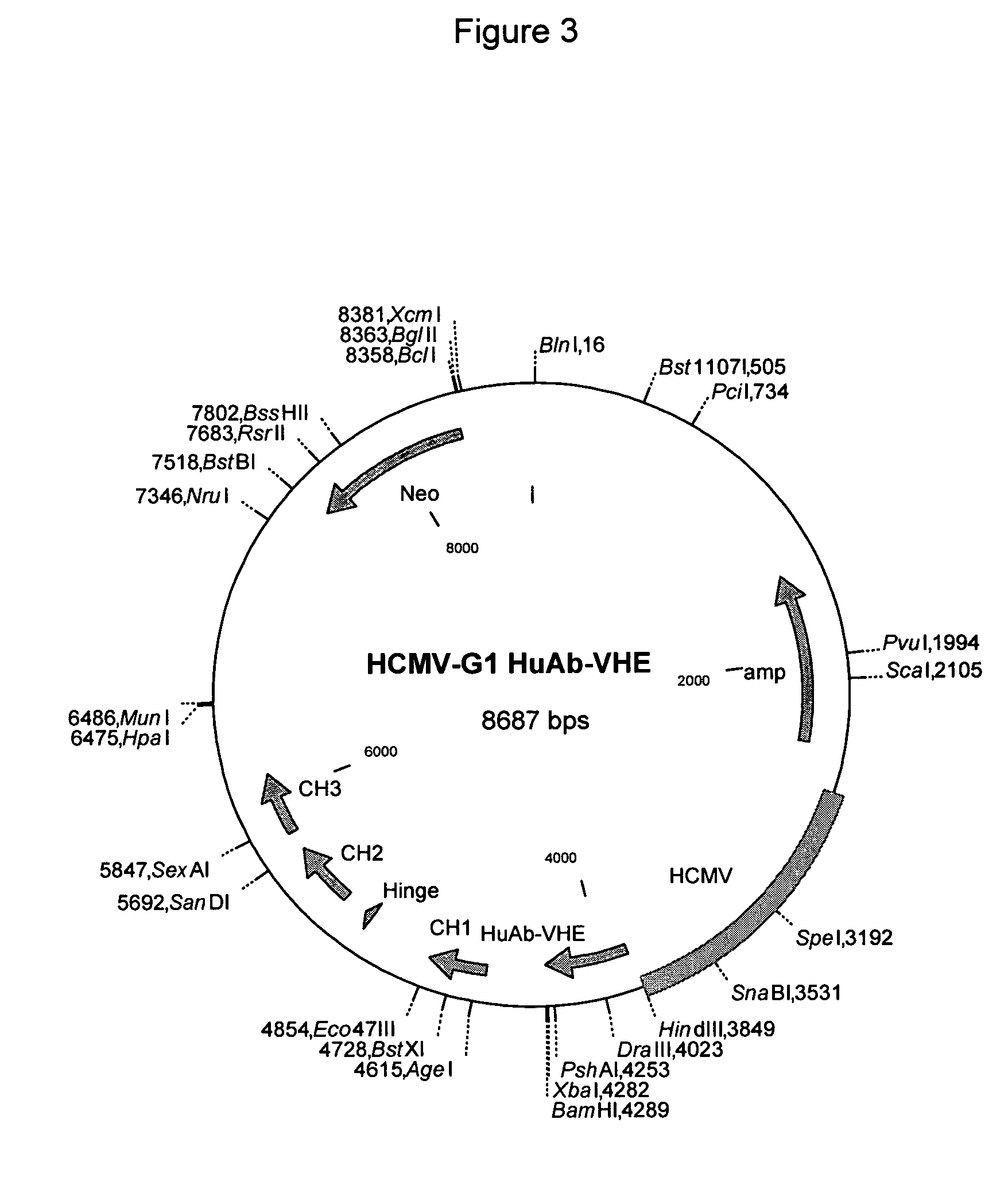 Therapeutic binding molecules