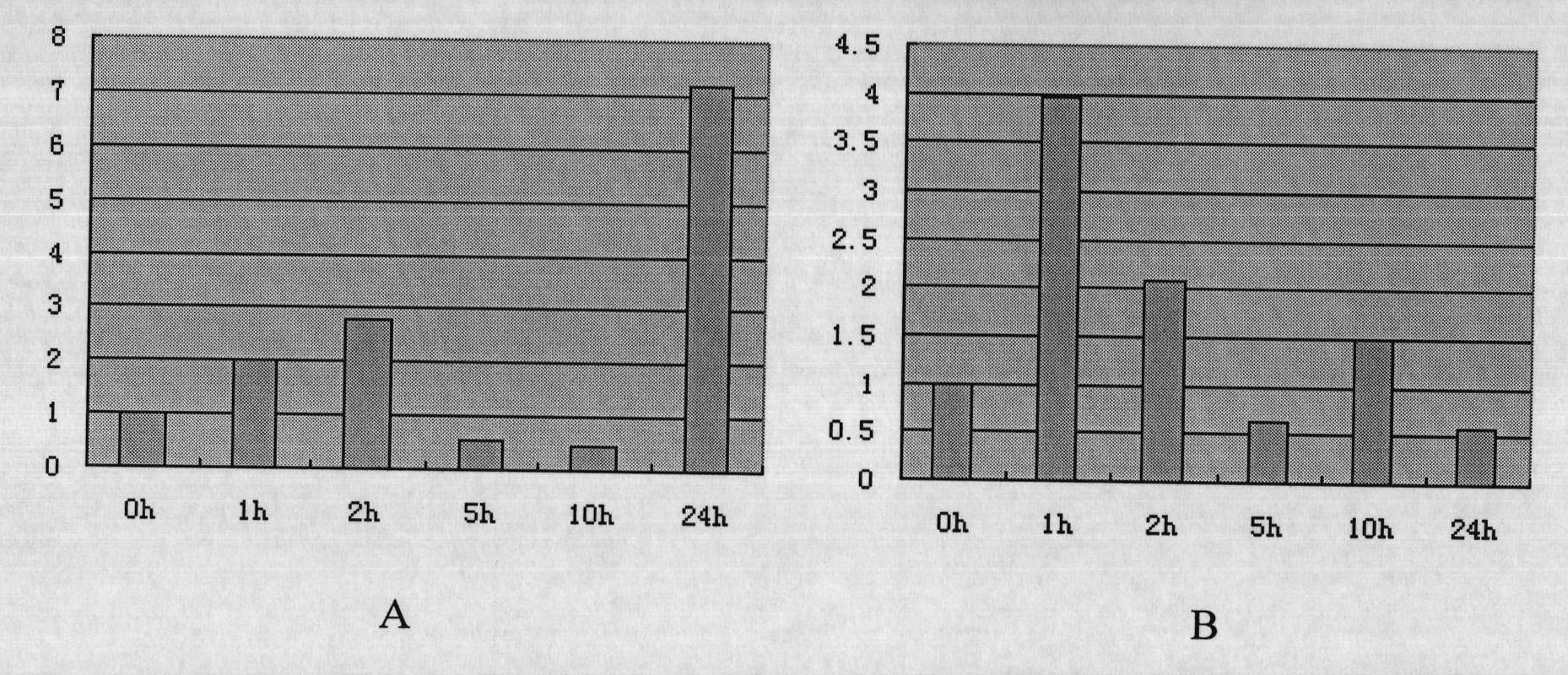 Plant drought-resistance and salt-tolerance associated protein TaNAC, and encoding gene and application thereof