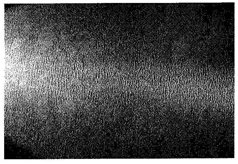 Method for solving problem of rough surface of ship plate