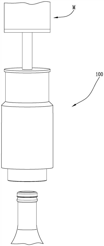 Capping head, system and method