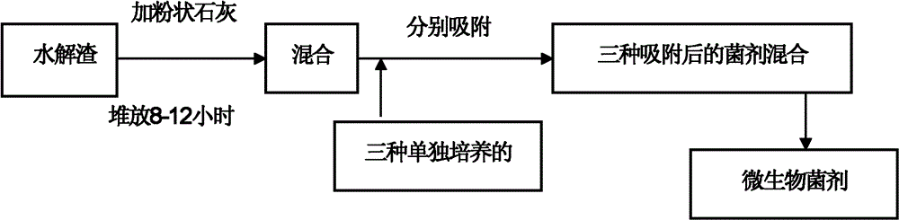 Production method of microbial inoculum