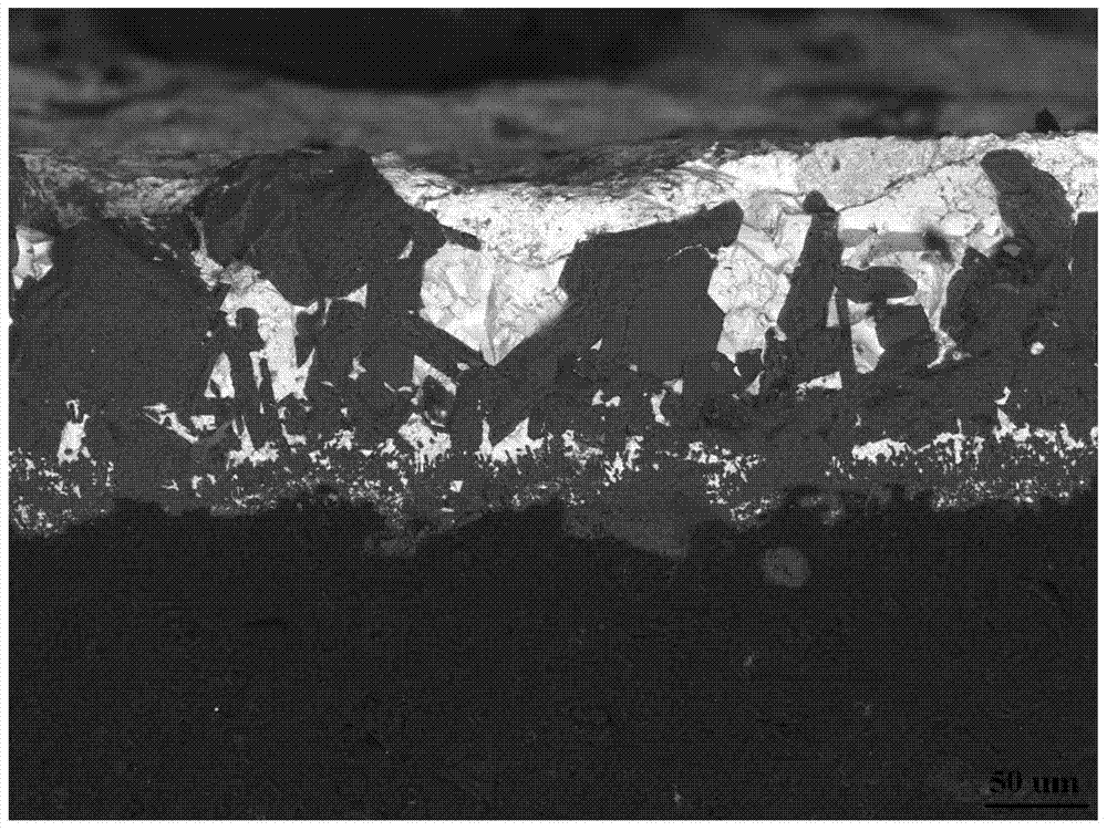 A kind of preparation method of metal tungsten gradient coating on the surface of carbon/carbon composite material