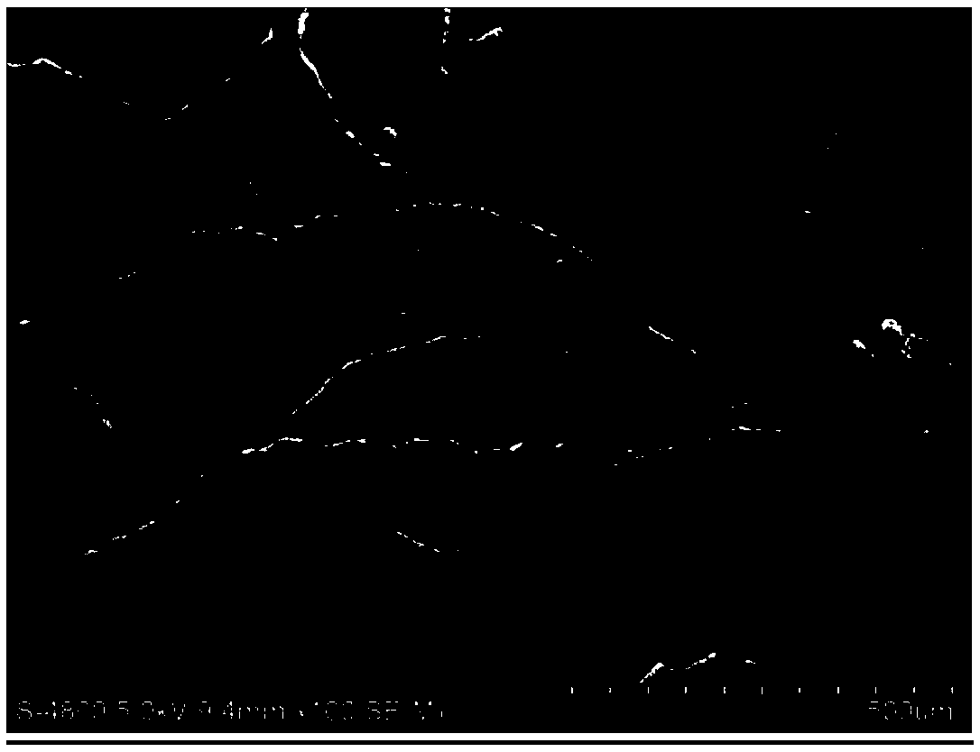 Superhydrophobic cotton cellulose aerogel, and preparation method and application thereof