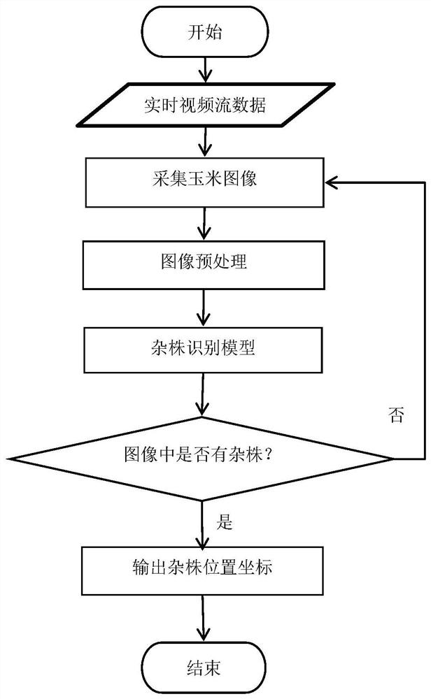 Hybrid corn seed production cost-saving, impurity-removing, emasculation and purity-keeping method