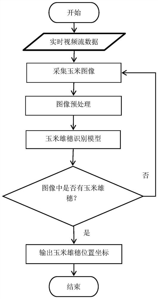 Hybrid corn seed production cost-saving, impurity-removing, emasculation and purity-keeping method