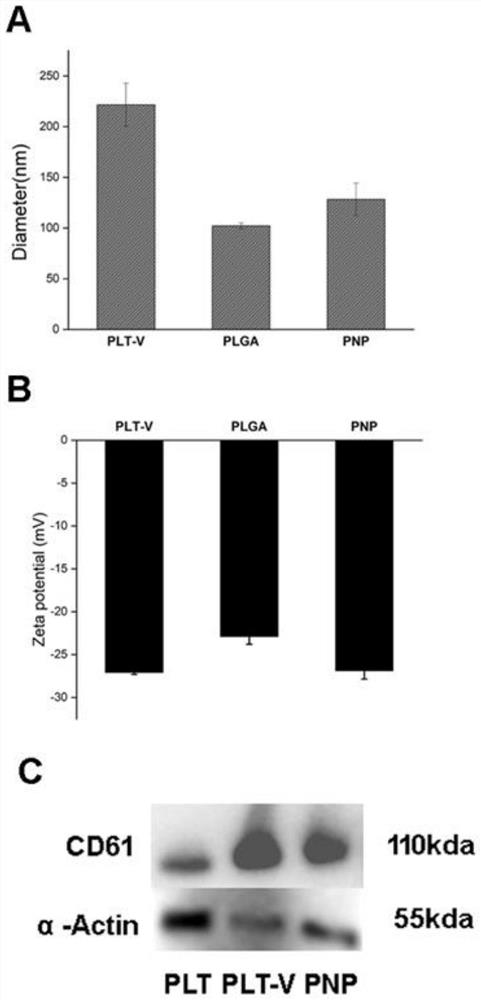 Platelet antibody detection method based on nano material and platelet preservation method