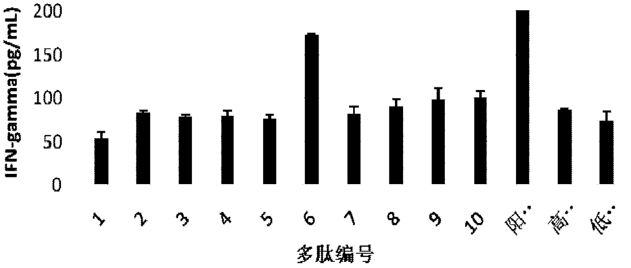 AFFT2 cell