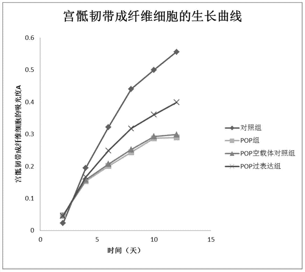 Application of stac2 gene and its encoded protein in inhibiting pelvic prolapse