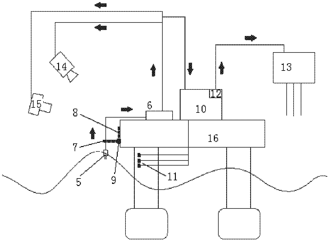 Capture observation system for green water test of ocean platform