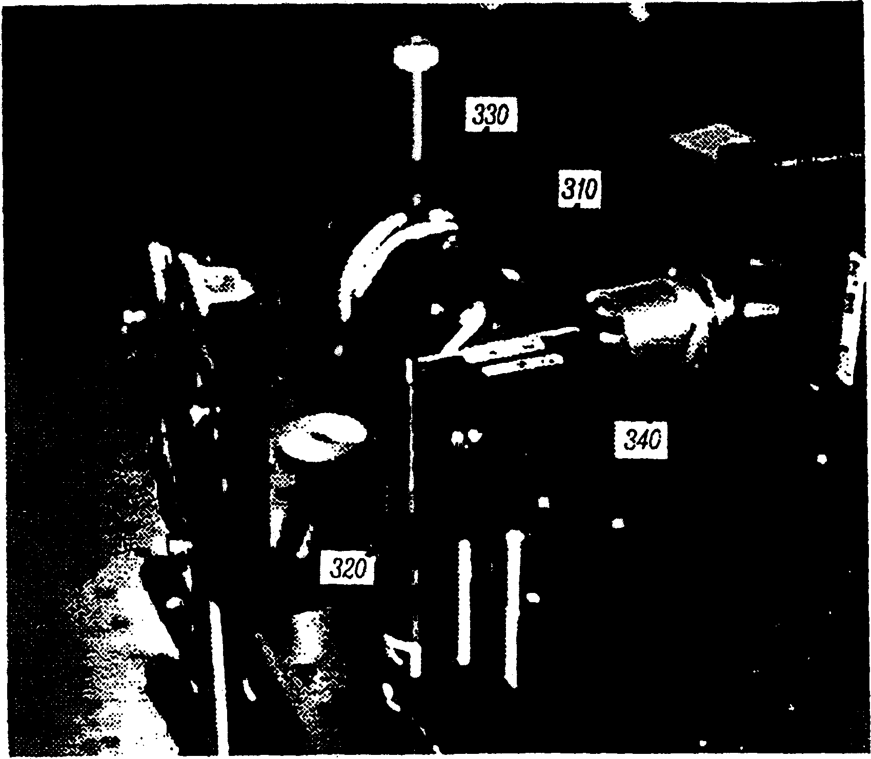 Direct-to-digital holographic holographic interferometry, and holovision