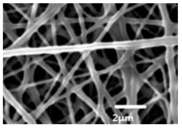 Guided tissue regeneration membrane as well as preparation method and application thereof