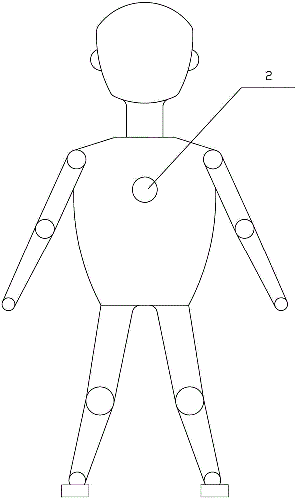 Remote real person simulation interaction robot