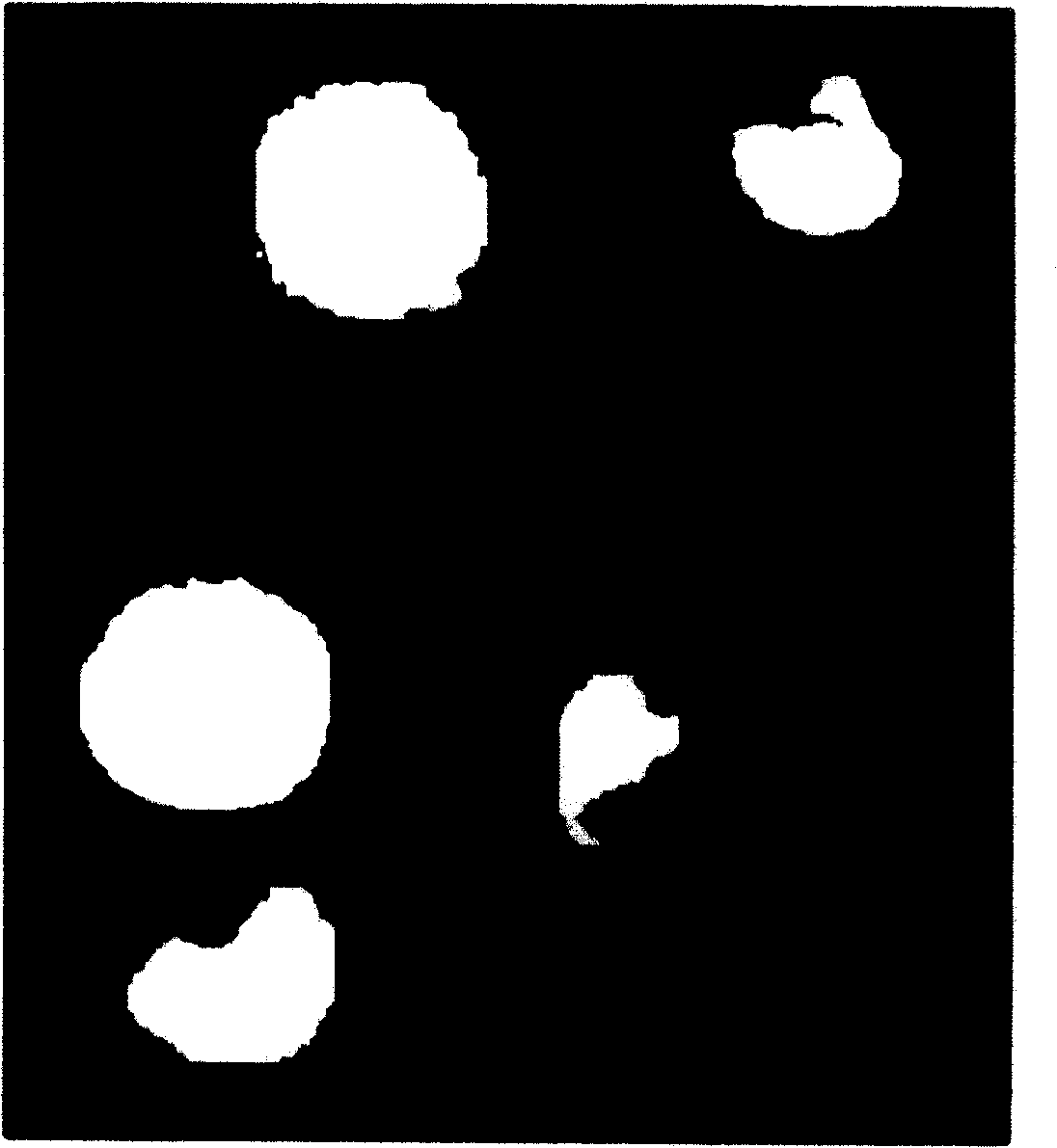 Image characteristic extracting method and device