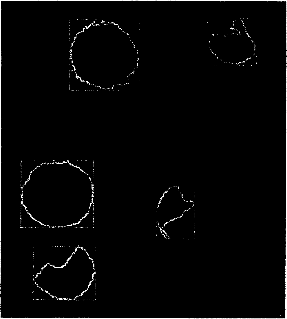 Image characteristic extracting method and device