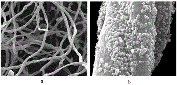 Preparation method of cellulose-based core-shell CdS/ZnO (cadmium-sulfur/zinc oxide) photocatalyst