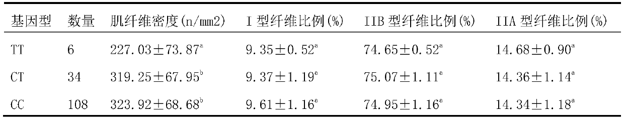 Method for identifying muscle fiber density of pigs and primer pair used in method