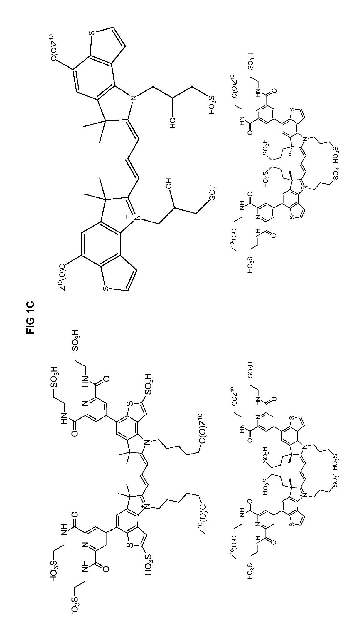 Heteroarylcyanine dyes