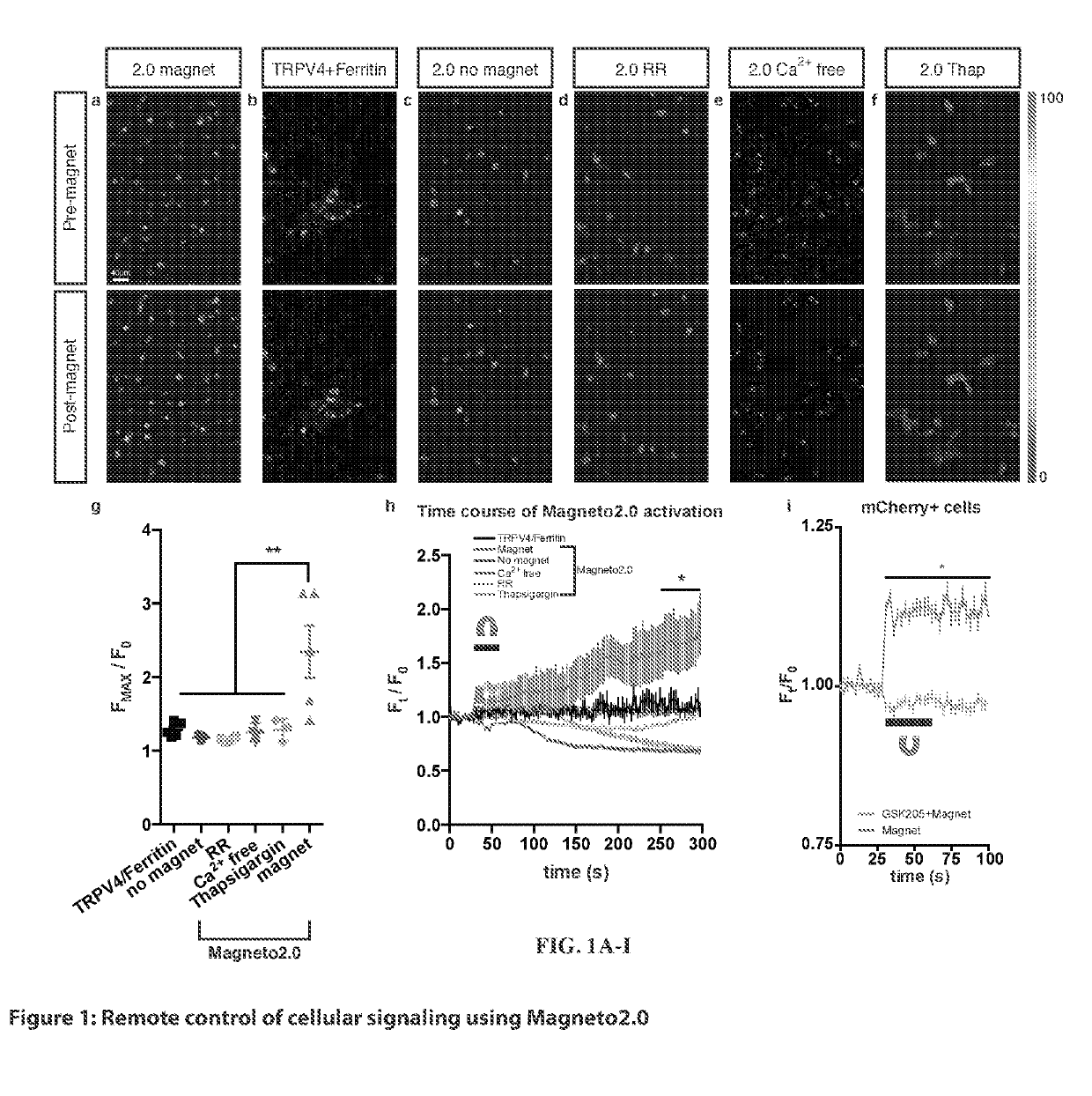 Compositions and their use for controlling the nervous system in vivo