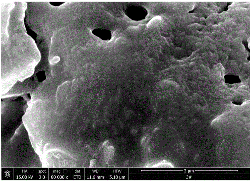 In-situ composite antibacterial filtering ceramic as well as preparation method and application thereof