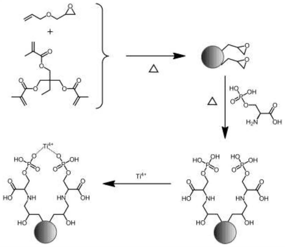 A phosphorylated peptide adsorbent and its preparation and application