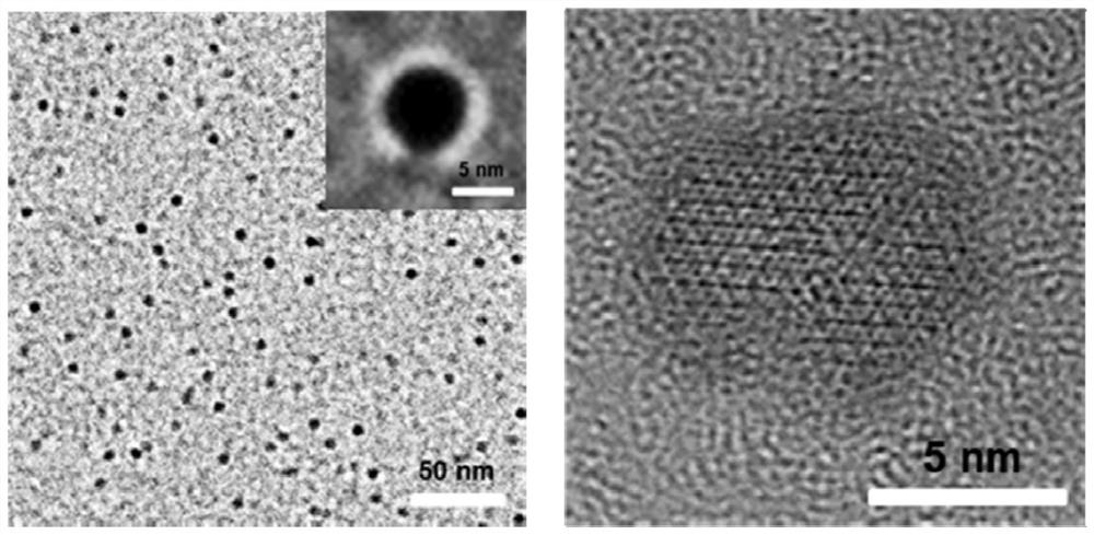 A kind of anti-tumor platinum drug mineralized protein nanoparticle and its preparation method and application