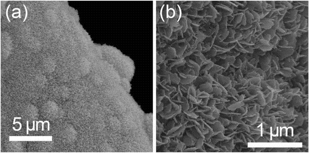 High-performance subcarbonate electrolyzed water catalyst as well as preparation method and application thereof