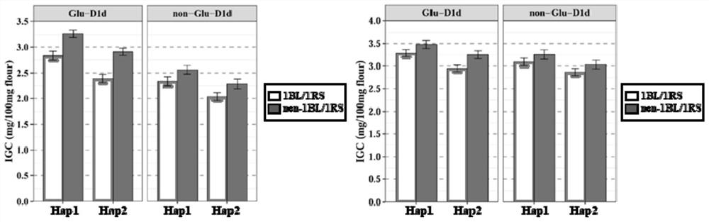 Molecular marker primer of major gene locus TaIGC-7B of wheat glutelin macromer content and application of molecular marker primer